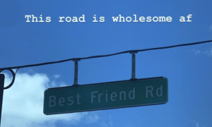 Stupid Bar Memes trafficssignsthissroadsisswholesomesafsbestsfriendsrd
