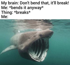 Stupid Bar Memes wCuQUCm