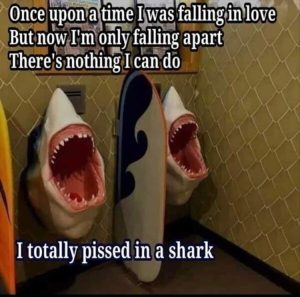 Stupid Bar Memes whensyouspee