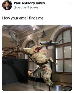 Stupid Bar Memes yXjQQwj