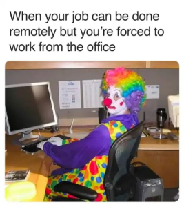 Stupid Bar Memes yXpE0Uj