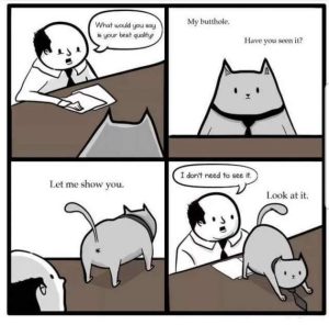 Stupid Bar Memes ykYYTgy