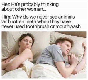 Stupid Bar Memes youresanimals