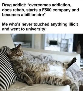 Stupid Bar Memes youresliving