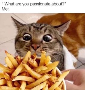 Stupid Bar Memes yourespassion