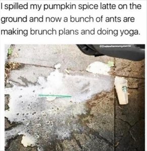 Stupid Bar Memes yousspillsyoursdrink