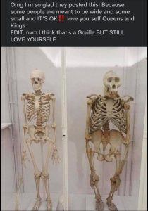 Stupid Bar Memes zsfuns1s1