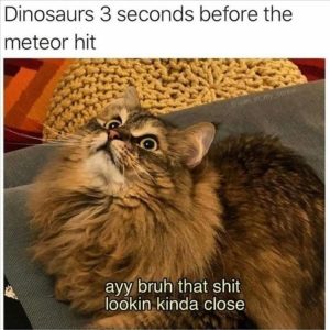 Stupid Bar Memes zsfuns71s3
