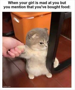 Stupid Bar Memes zsfuns86s1