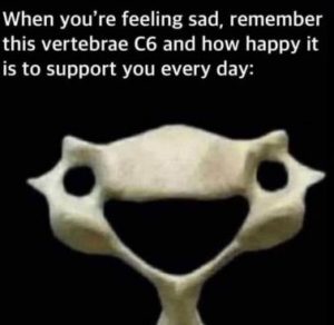 Stupid Bar Memes 0a69e414ed8c9670