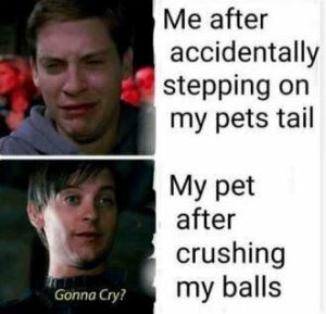 Stupid Bar Memes 0df1a8388a048cc1