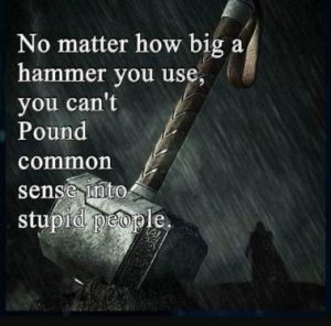 Stupid Bar Memes 0e4cd8dfbeadc1e4