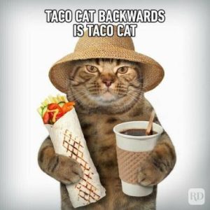 Stupid Bar Memes 1142e9a7d4d2fb26