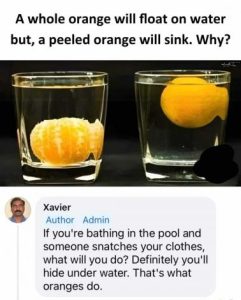 Stupid Bar Memes 145fcf364f6e0c7c