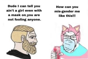 Stupid Bar Memes 16951ae9bdc7a712