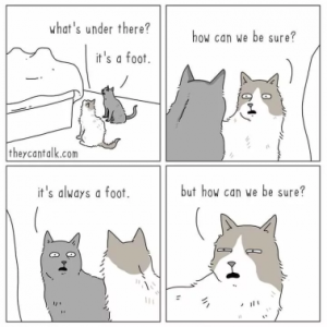 Stupid Bar Memes 1709b1d979a87635