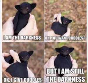 Stupid Bar Memes 173e4a9ff31f23ee