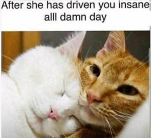 Stupid Bar Memes 17d67d946bc6ea18