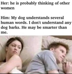 Stupid Bar Memes 17f167bc4b8f2770