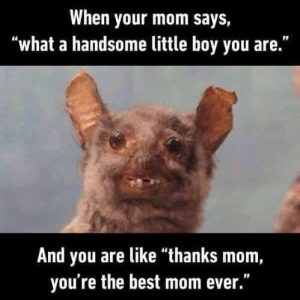 Stupid Bar Memes 1d9e8ecce9edc902