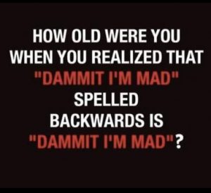 Stupid Bar Memes 2073b05d66f821d6