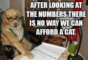 Stupid Bar Memes 2299f6b13661feca