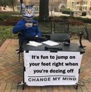 Stupid Bar Memes 2300fe340bd0a18b