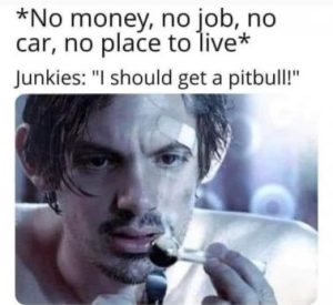 Stupid Bar Memes 25ede84a689d4d36