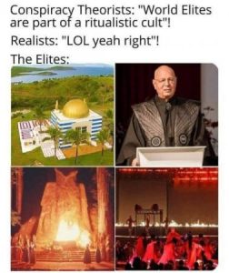 Stupid Bar Memes 2b25a63646366d75