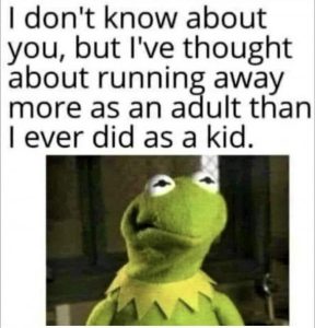 Stupid Bar Memes 2c5aeabf32321c82