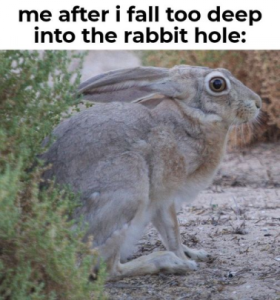 Stupid Bar Memes 2e0e10cd1b26dd6e