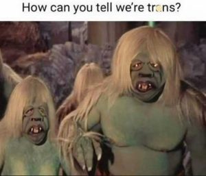 Stupid Bar Memes 305dbdf76967d075
