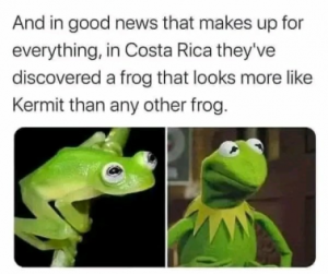 Stupid Bar Memes 370b10e5449733a9