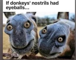 Stupid Bar Memes 38b3b5bb18c6551d