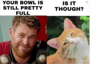 Stupid Bar Memes 3b9c2cc8efdc1da7
