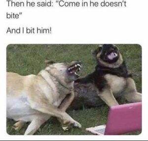 Stupid Bar Memes 3bb6b1e7d495a07f