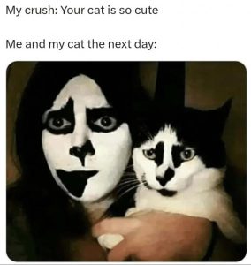Stupid Bar Memes 3d217cba7e2f8659