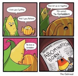 Stupid Bar Memes 4260e87fb3a0f3df