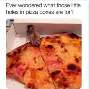 Stupid Bar Memes 4357a415dd723de6