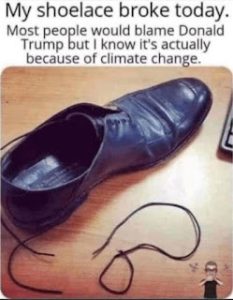 Stupid Bar Memes 479a5659d42dedc4