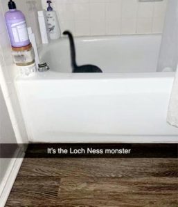 Stupid Bar Memes 4a26fcbdd58fa112