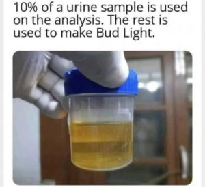 Stupid Bar Memes 4a2955c46994d7c3