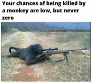 Stupid Bar Memes 4ab4f29cd2552a71