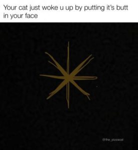 Stupid Bar Memes 4f96855a9a6077a1