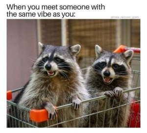 Stupid Bar Memes 51a5190c3c2a065e