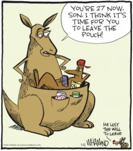Stupid Bar Memes 52618e21dadb2801