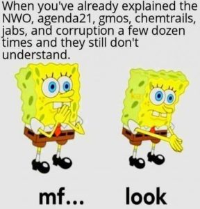 Stupid Bar Memes 53e5bece2f59ed69