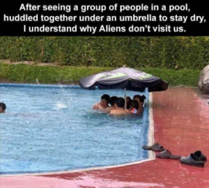 Stupid Bar Memes 59dd62b5b141d2bb