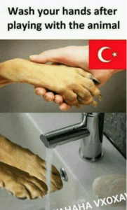 Stupid Bar Memes 5b6432cc7378151b