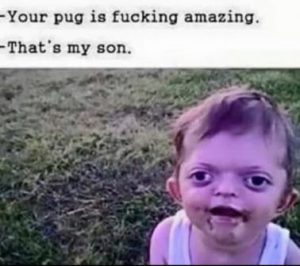 Stupid Bar Memes 5e0aead60089c2e7